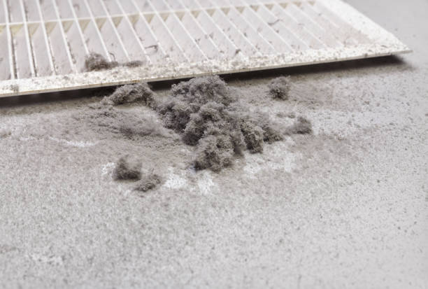 Best Air Vent Cleaning Services  in Williamsburg, VA