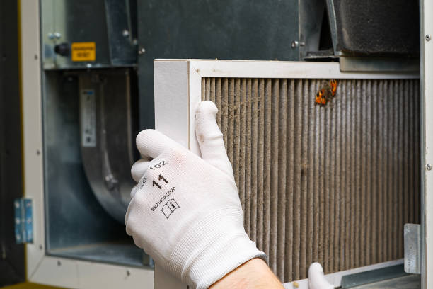 Best HVAC Air Duct Cleaning  in Williamsburg, VA