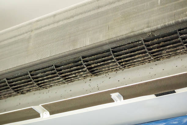 Best Air Vent Cleaning Services  in Williamsburg, VA