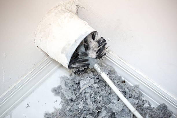 Best HVAC Maintenance and Cleaning  in Williamsburg, VA